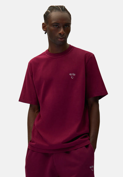 AW25-104T-BORDEAUX - T-Shirt e Polo - ARTE