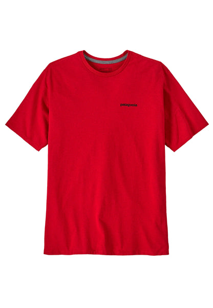 38504-AMRE -  - PATAGONIA