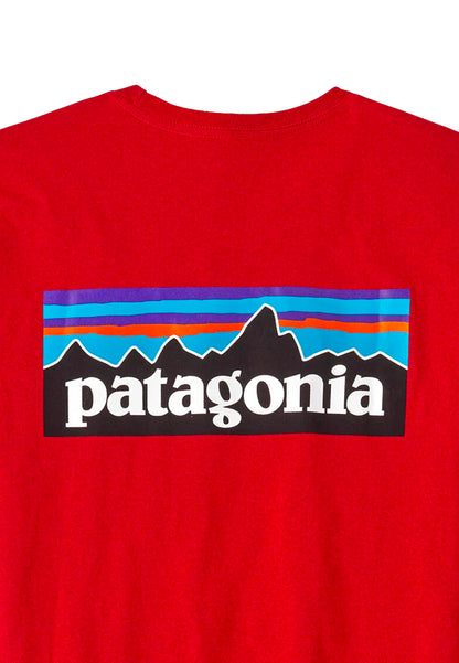 38504-AMRE -  - PATAGONIA